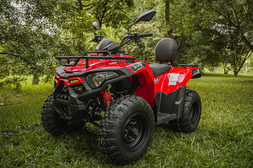 Quadriciclo Fun Farmer 200cc Cinza