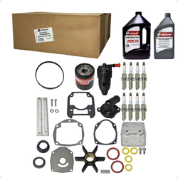 Kit Manutenção Completo V8 4.6L STD/Seapro/ProXS 300 Horas